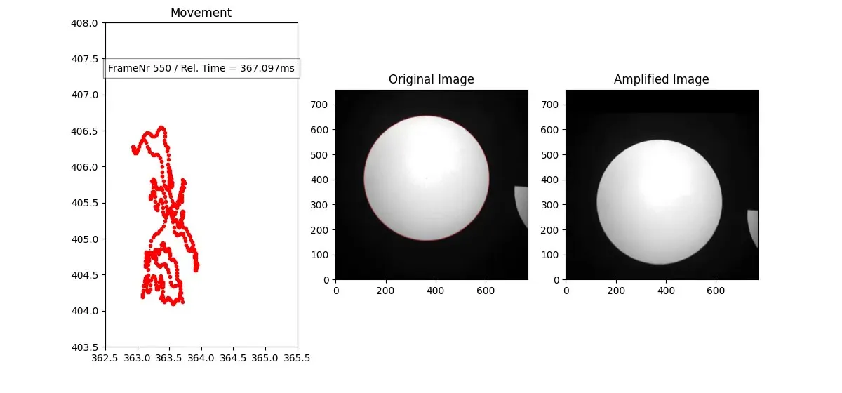 Frame of the analysis video: the marker trajectory (Movement), the original image and the amplified image side by side, from an HSCAM STREAMER 1M13 recording.